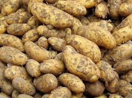 Tubers Vegetables